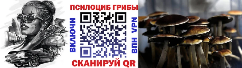 Галлюциногенные грибы MAGIC MUSHROOMS  Купить закладки  Спасск-Рязанский 
